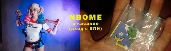 индика Козельск