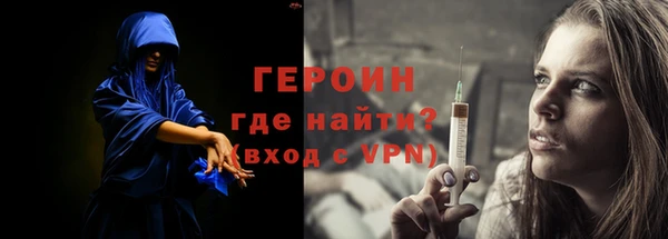 индика Козельск