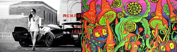 метадон Кодинск