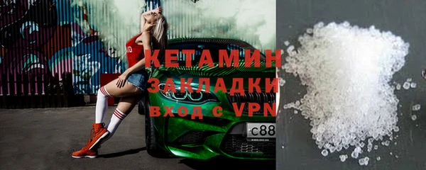 индика Козельск