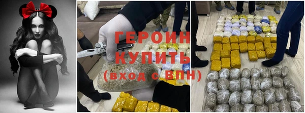 индика Козельск